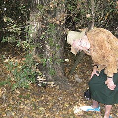 IMG_4287
