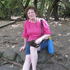 IMG_4291
