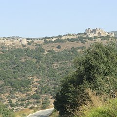 IMG_4149
