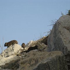IMG_4158