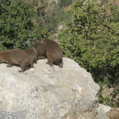 IMG_4162