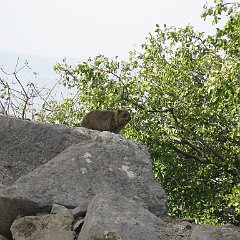 IMG_4168