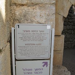 IMG_4169