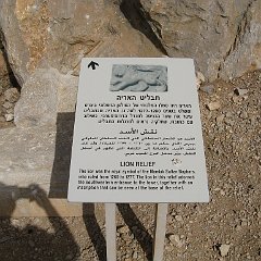 IMG_4175