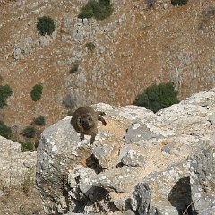 IMG_4191