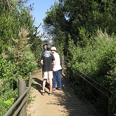 IMG_3918