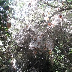 IMG_3925