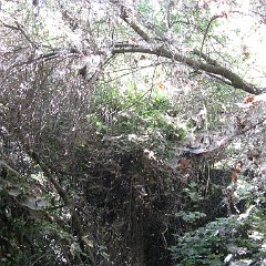 IMG_3926