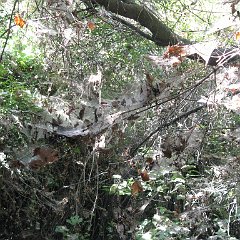 IMG_3927