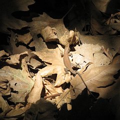 IMG_3932