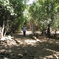 IMG_3950