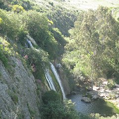 IMG_4699