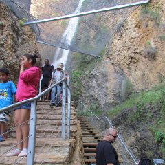 IMG_1207
