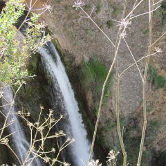 IMG_1212