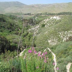 IMG_1215