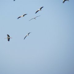 IMG_1230