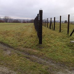 12112009298
