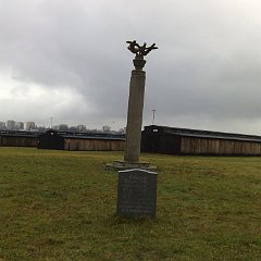 12112009313