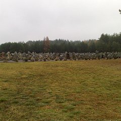 15112009387
