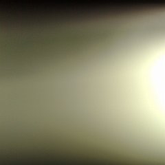 16112009398
