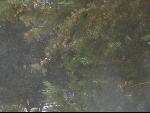 Thumbnail Image, Click to Enlarge thumb_IMG_2686.JPG