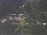 Thumbnail Image, Click to Enlarge thumb_IMG_2687.JPG
