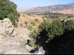 Thumbnail Image, Click to Enlarge thumb_IMG_1325.JPG
