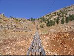 Thumbnail Image, Click to Enlarge thumb_IMG_1353.JPG