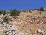 Thumbnail Image, Click to Enlarge thumb_IMG_1356.JPG