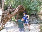 Thumbnail Image, Click to Enlarge thumb_IMG_1294.JPG