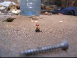 Thumbnail Image, Click to Enlarge thumb_IMG_3455.JPG
