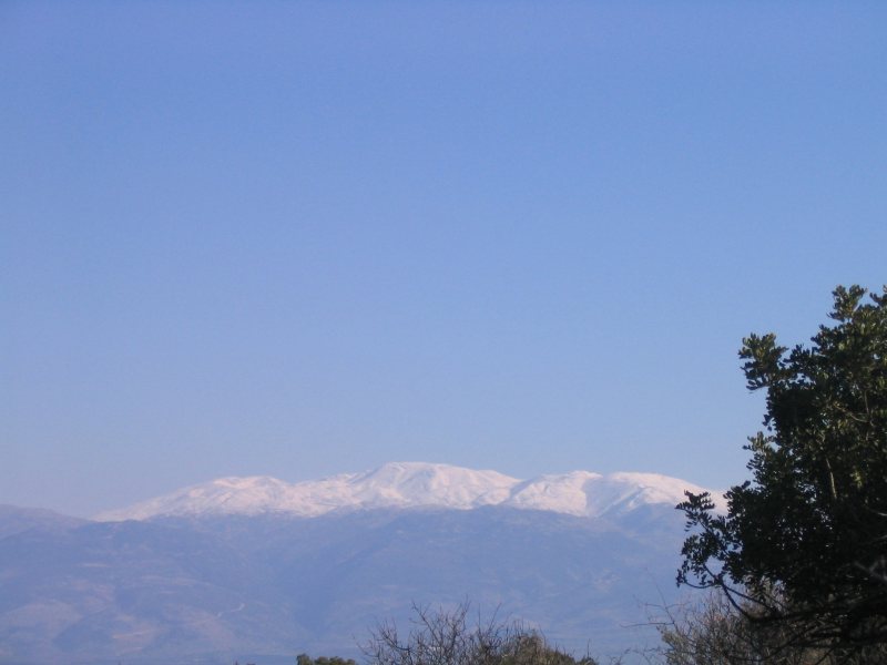 IMG_3487.JPG