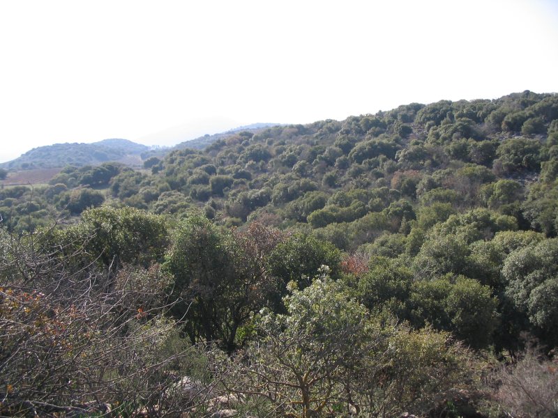IMG_3504.JPG