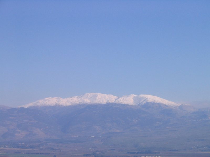 IMG_3517.JPG