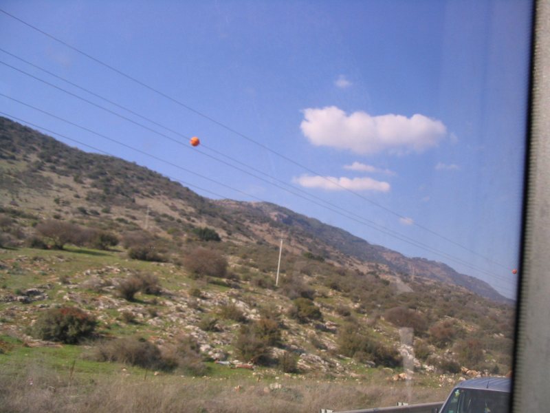IMG_3542.JPG