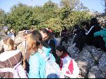 Thumbnail Image, Click to Enlarge thumb_IMG_3480.JPG