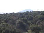 Thumbnail Image, Click to Enlarge thumb_IMG_3495.JPG