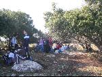 Thumbnail Image, Click to Enlarge thumb_IMG_3525.JPG