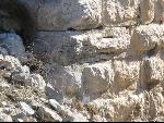 Thumbnail Image, Click to Enlarge thumb_IMG_0533.JPG