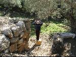 Thumbnail Image, Click to Enlarge thumb_IMG_0559.JPG