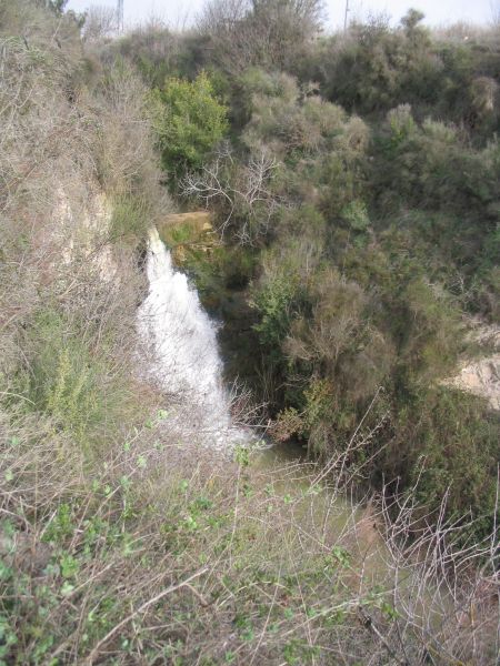 IMG_1605.JPG