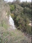 Thumbnail Image, Click to Enlarge thumb_IMG_1605.JPG