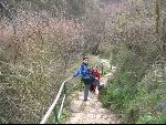 Thumbnail Image, Click to Enlarge thumb_IMG_1606.JPG
