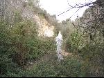 Thumbnail Image, Click to Enlarge thumb_IMG_1607.JPG