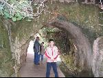 Thumbnail Image, Click to Enlarge thumb_IMG_1634.JPG