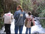 Thumbnail Image, Click to Enlarge thumb_IMG_1635.JPG