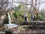 Thumbnail Image, Click to Enlarge thumb_IMG_1640.JPG