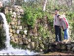 Thumbnail Image, Click to Enlarge thumb_IMG_1641.JPG
