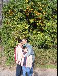 Thumbnail Image, Click to Enlarge thumb_IMG_1642.JPG
