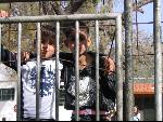 Thumbnail Image, Click to Enlarge thumb_IMG_1647.JPG